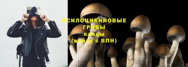 героин Абаза